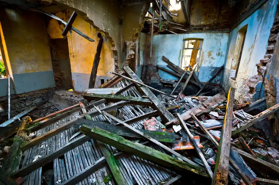 Mold Remediation in Tempe