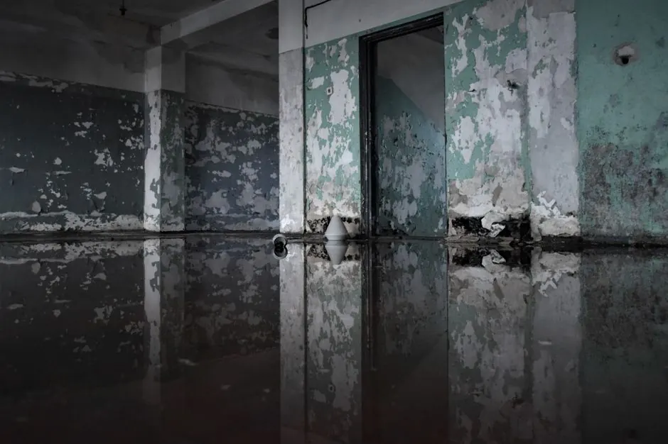 Water Damage Restoration in Dateland