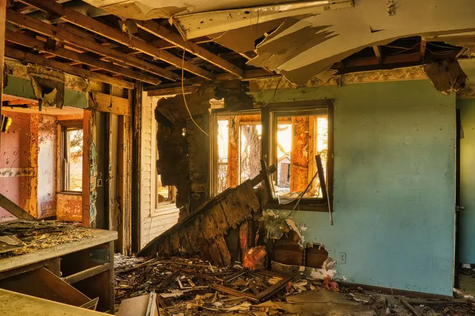 Kitchen Mold Remediation