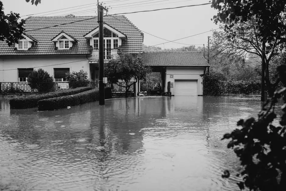 Emergency Water Removal in Wittmann